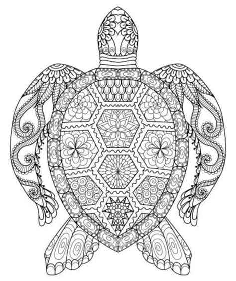 Turtle Mandala Coloring Page - Etsy