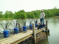 10 Crappie habitat ideas | crappie, crappie fishing, fish