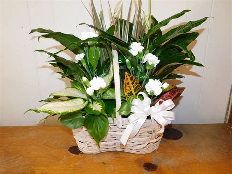 Planter in Peanut Basket in Dunbar, WV | Art's Flower Shop