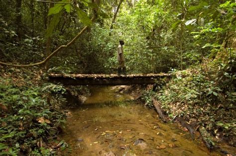 Visit Ghana - Ankasa-Nini-Suhien National Park and Resource Reserve