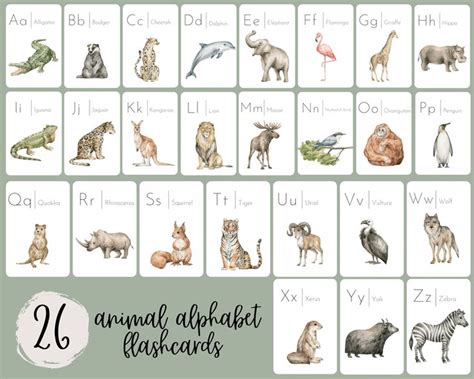 Printable Animal Alphabet Flashcards Alphabet Flashcards - Etsy in 2022 ...