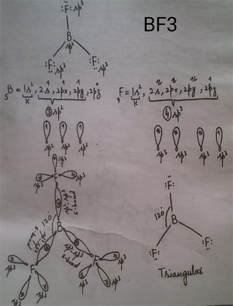 [Solved] Explain the hybridization and shape of molecule BF3 with hand ...