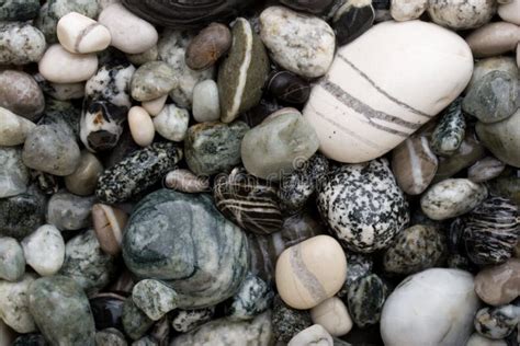 Black And White Pebbles. Picture Image: 3648461