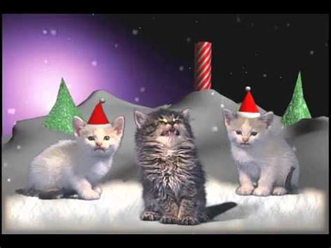 Jingle Cats - Silent night 10 HOURS - YouTube