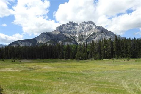 70+ Icefields Parkway Highway 93 Alberta Canada Stock Photos, Pictures ...