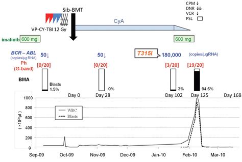 T315I Mutation in Ph-positive Acute Lymphoblastic Leukemia is Associated with a Highly ...