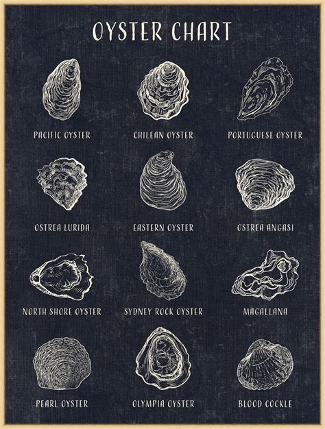 Oyster Chart - Coastal - Our Product | Wall decor, Clear water, Wendover art group