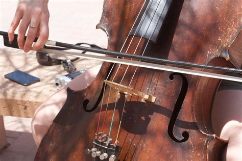 Images Gratuites : Instrument à cordes incliné, Famille de violon ...