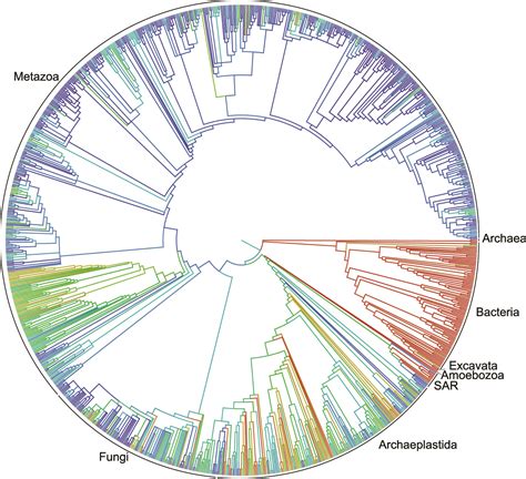 'Tree of life' for 2.3 million species released