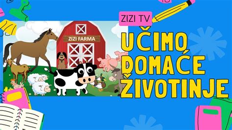 Učimo Domaće Životinje - ZIZI TV edukativni crtići za djecu - Zvukovi ...