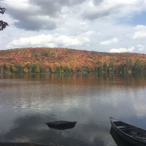 Vermont state Parks stock image. Image of wilderness - 197336379