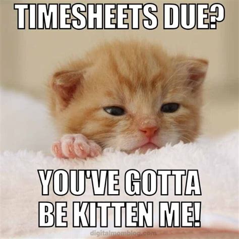 25 Funny Timesheet Memes And Reminders For The Forgetful