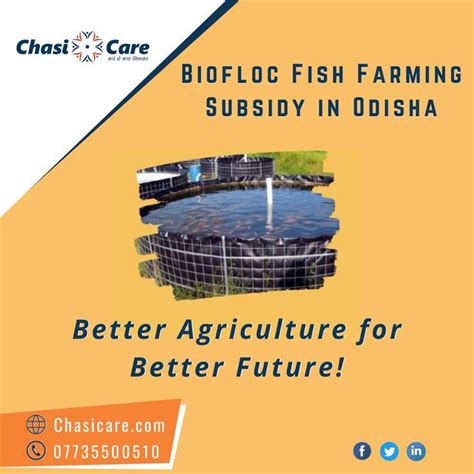 Biofloc Fish Farming Training and Subsidy in Odisha