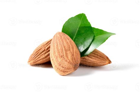 Almonds nut with leaves isolated on white background. They are highly nutritious and rich in ...