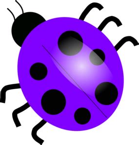 Purple Ladybugs clip art - vector clip art online, royalty free ...