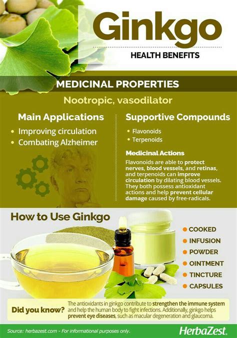 Ginkgo Health Benefits (With images) | Food health benefits, Health