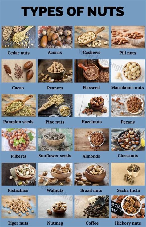 Types of nuts (edible, not construction) : r/coolguides