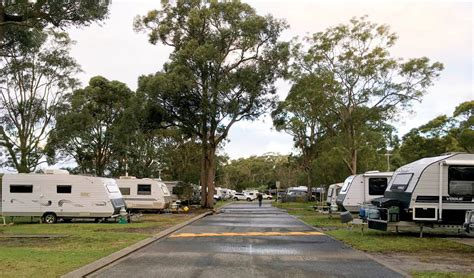 Lane Cove River Tourist Park - caravan park | NSW National Parks