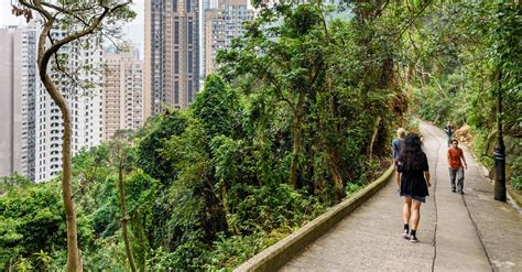 The Easiest Hiking Trails for Beginners in Hong Kong