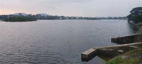 Chitlapakkam lake revival a model for collective effort - Citizen Matters