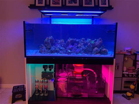 Beautiful Waterbox Reef Pro All Glass Aquarium, Aquarium Shop ...