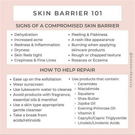 Skin Barrier 101 | Skin care guide, Skin care secrets, Skin facts