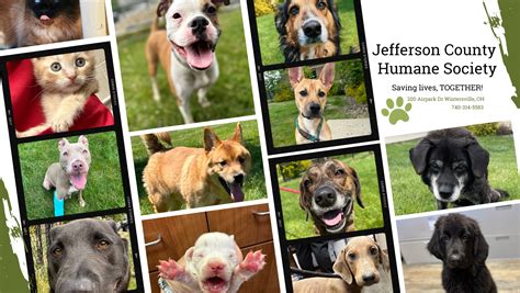 Jefferson County Humane Society and Jefferson County Animal Shelter