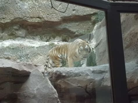 Nuremberg ZOO - Pieces of my life and heart