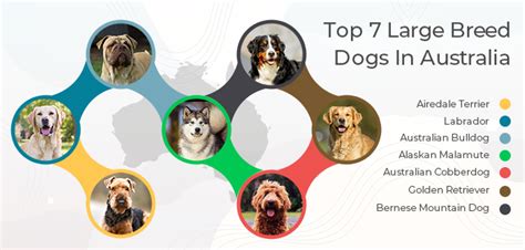 Dog Breeds Chart | lupon.gov.ph