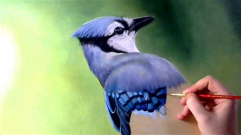 Blue jay timelapsed painting - YouTube