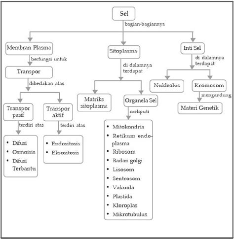 Peta Konsep Biologi Sel Soal Tentang Struktur Dan Fungsi Jaringan My ...