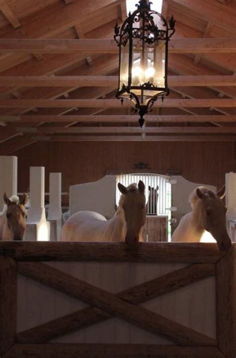 Beautiful Barn Lighting - STABLE STYLE | Barn lighting, Luxury horse barns, Stables