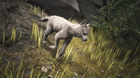 Dire Wolf Puppy - Official Conan Exiles Wiki