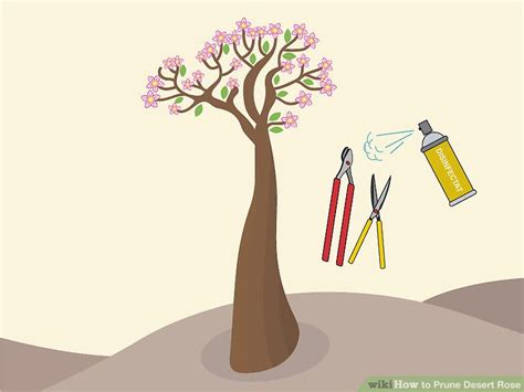 3 Ways to Prune Desert Rose - wikiHow