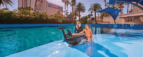 Siegfried & Roy's Secret Garden & Dolphin Habitat at The Mirage 2021 ...