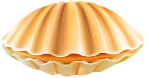 Clam clipart closed, Picture #363881 clam clipart closed