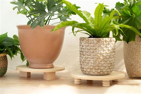 Plant Riser DIY Tutorial | Hunker