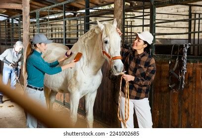 1,707 Horse Farm Cleaning Images, Stock Photos & Vectors | Shutterstock