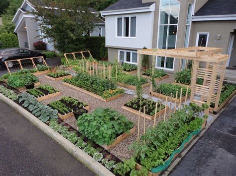 Beautiful Vegetable Container Gardens Ideas - Home Inspirations | Home ...