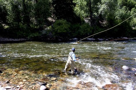 Top 5 Montana Trout Fishing Rivers - Hall and Hall