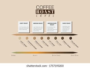 9+ Hundred Coffee Roast Level Royalty-Free Images, Stock Photos ...