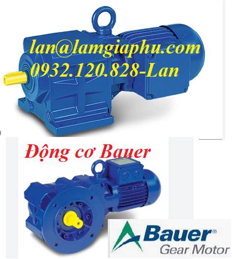 Bauer motor động cơ bánh răng