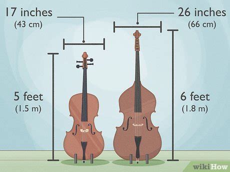 Violin, Viola, Cello, And Bass! What Is The Difference?,, 55% OFF