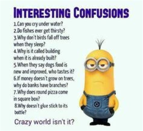 Minion Humour, Funny Minion Memes, Minions Quotes, Funny Relatable ...