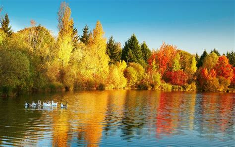 Autumn Colors Windows 10 Theme | Free Wallpaper Themes