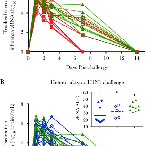 Virus replication in the lower respiratory tract after influenza A ...