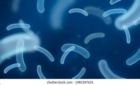 11,331 Water microorganisms Images, Stock Photos & Vectors | Shutterstock