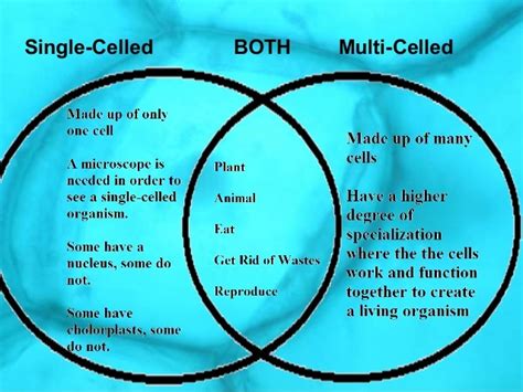 Single-celled VS Multi-celled - Science News