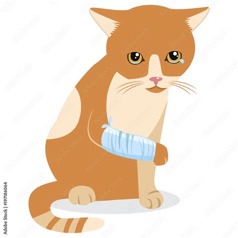 Cry Cat With Splinting Leg. Sad Crying Cat Cartoon Vector Illustration ...