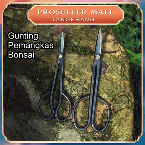 Jual Gunting Pemangkas Bonsai Bunga Tanaman/Gunting Bonsai Pruning Daun ...